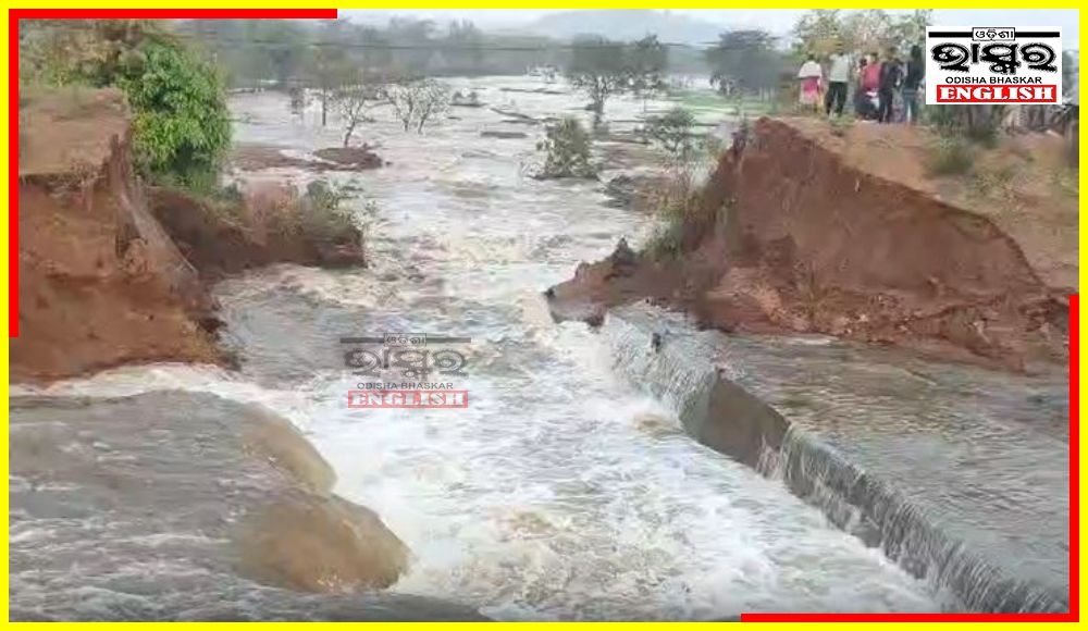 Breach in Indravati Canal Floods Farm Land Houses in Kalahandi Dist