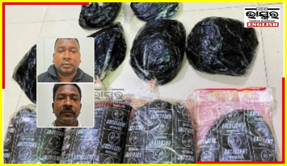 In Biggest Seizure, STF Seizes 10.5 Kg Opium in Rourkela, 2 Inter-State Drug Traffickers Arrested