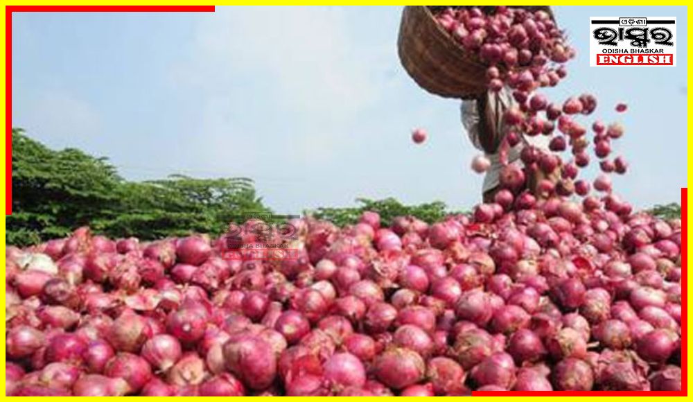 Central Govt Lifts Ban on Onion Export