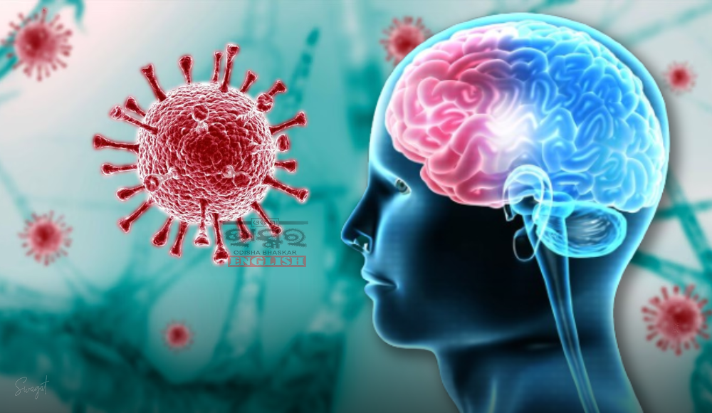 New Study Reveals Profound Impact of COVID-19 on Brain Health