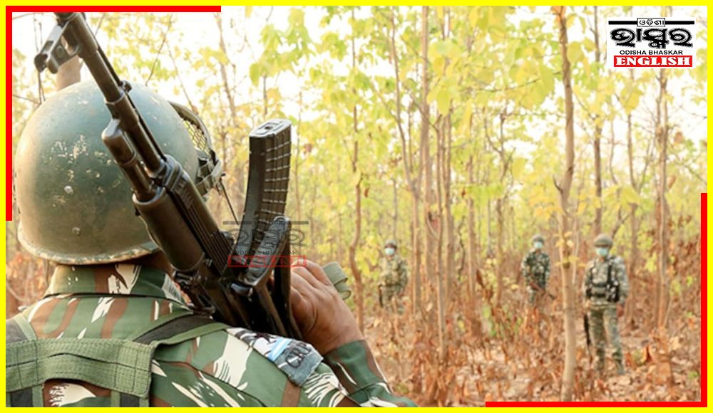 7 Maoists Including 2 Female Cadres Killed in Encounter in Chhattsgarh’s Narayanpur Dist