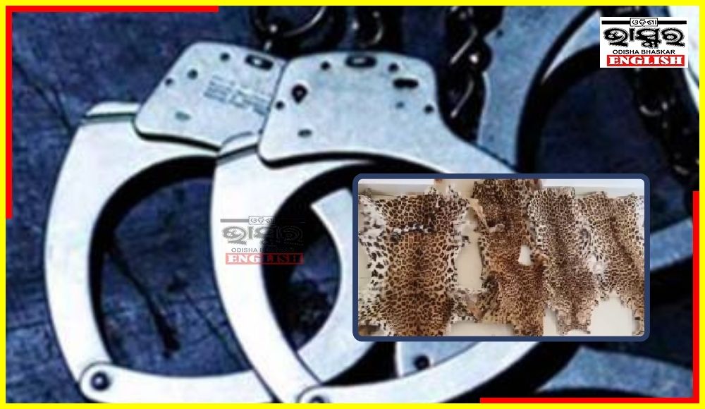 5 Leopard Skins Seized, 7 Wildlife Smugglers Arrested