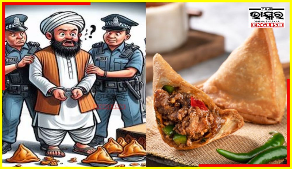 Beef Stuffing in Samosas, Vadodara Eatery Owners Arrested by Gujarat Police