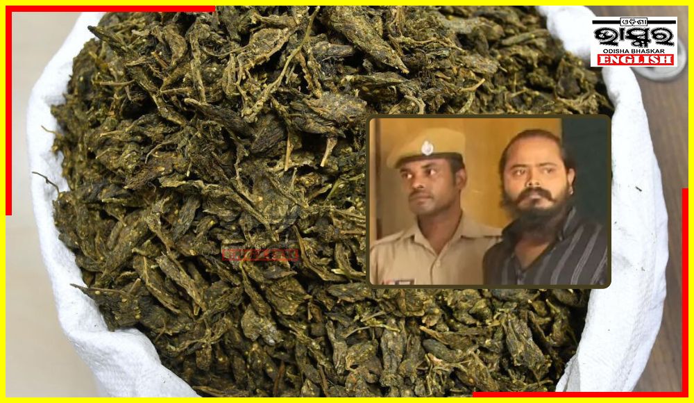 Ganja Smuggling Kingpin Arrested While He Visited Bhubaneswar’s Jharpada Jail