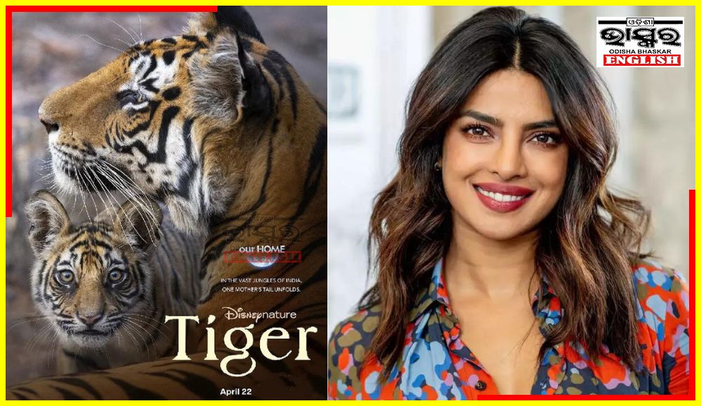 Priyanka Chopra’s Disney Hotstar Film ‘Tiger’ to Release on Apr 22