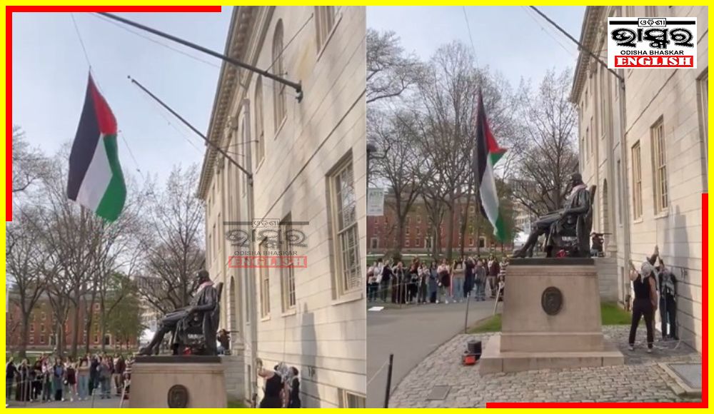 Protestors Raise Palestinian Flag in Harvard University, nearly 900 Anti-Israel Protestors Arrested in US