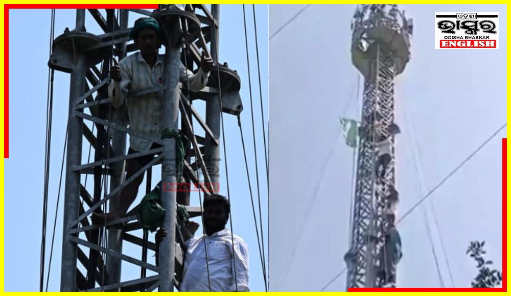 To Heighten Their Protest, Tamil Nadu Farmers Climb Mobile Tower in Delhi