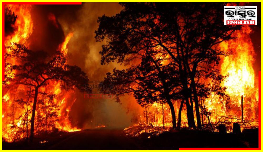 Uttarakhand Forest Fires Spread to Nainital, Help Sought from Army